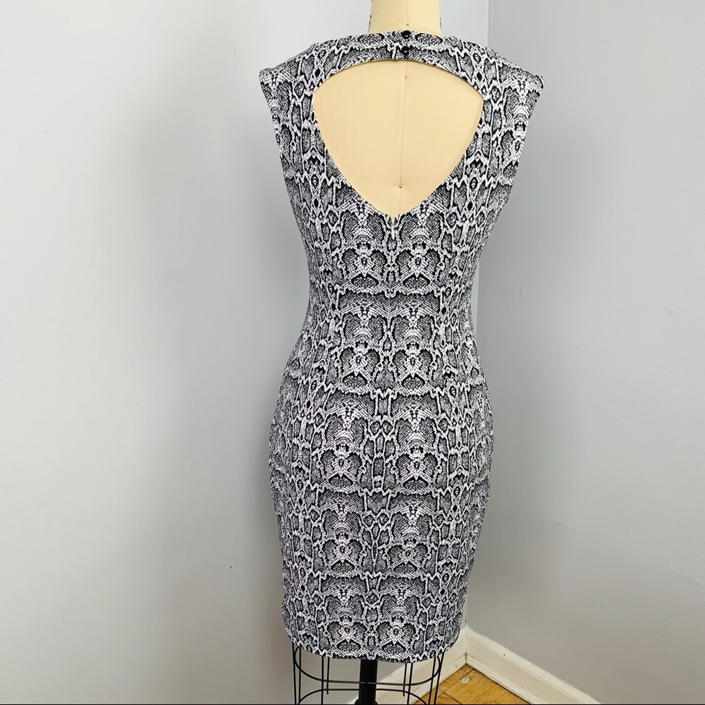 Cache Python Print Bodycon Dress - image 3